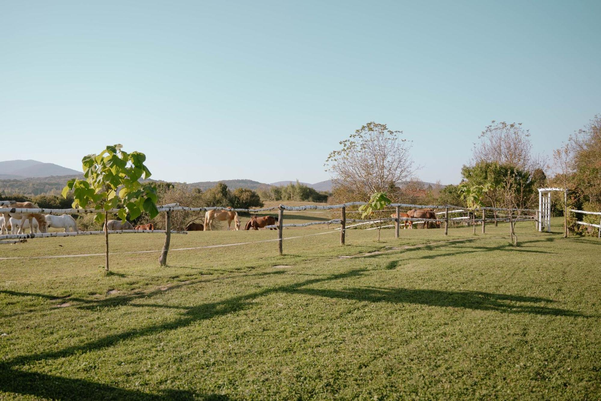 Ranch Terra Hotel Irinovac Bagian luar foto