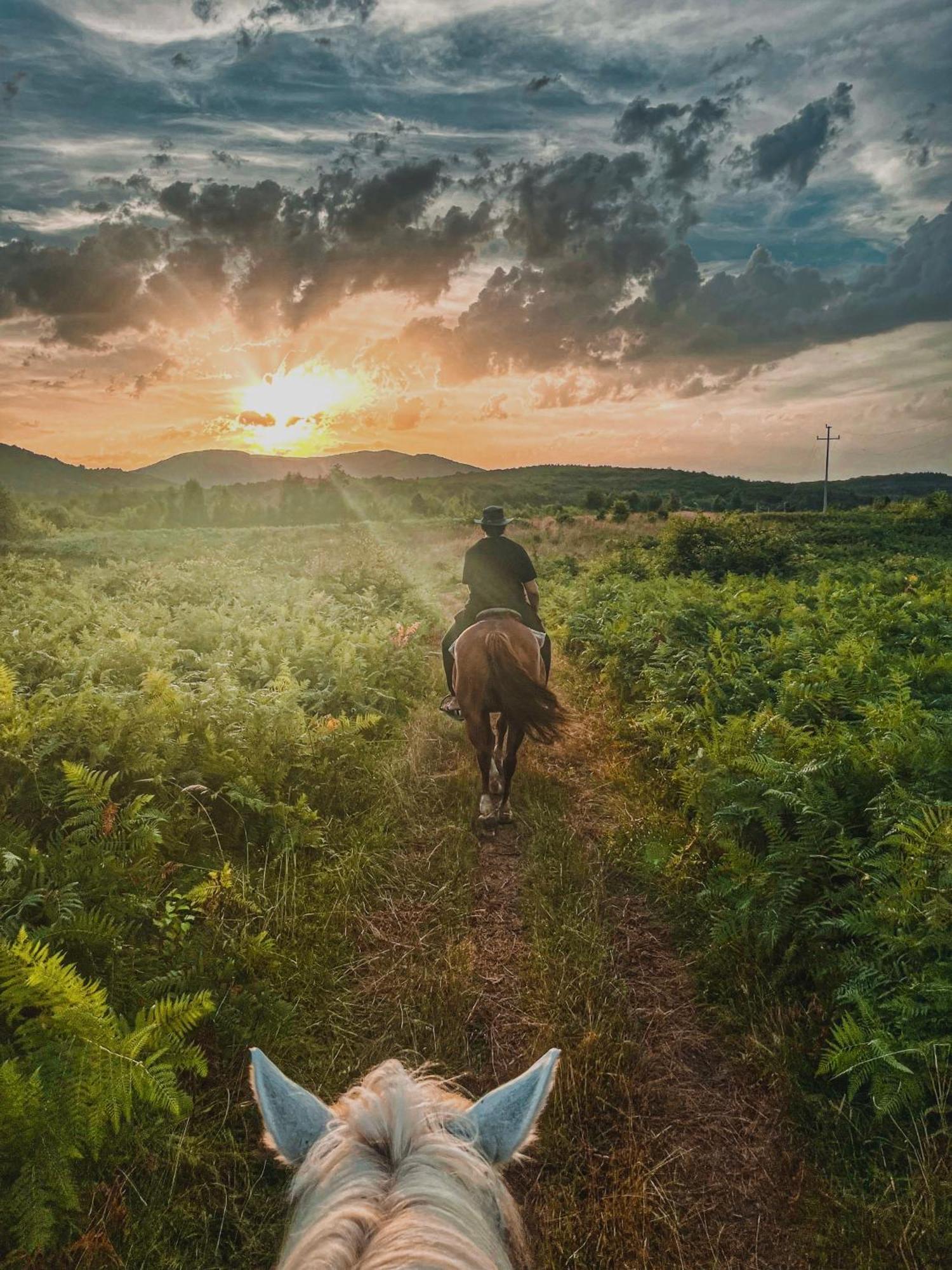 Ranch Terra Hotel Irinovac Bagian luar foto