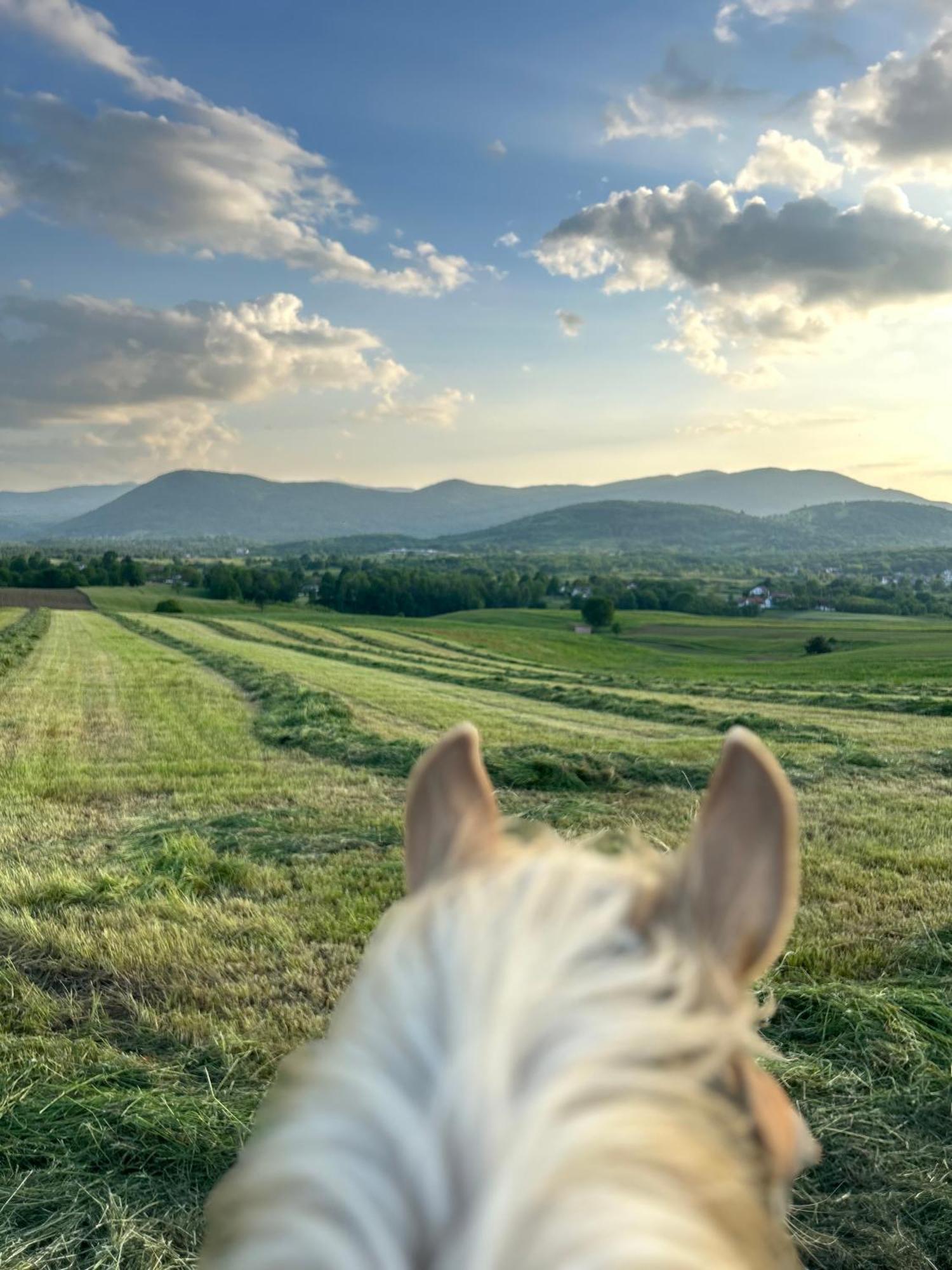 Ranch Terra Hotel Irinovac Bagian luar foto