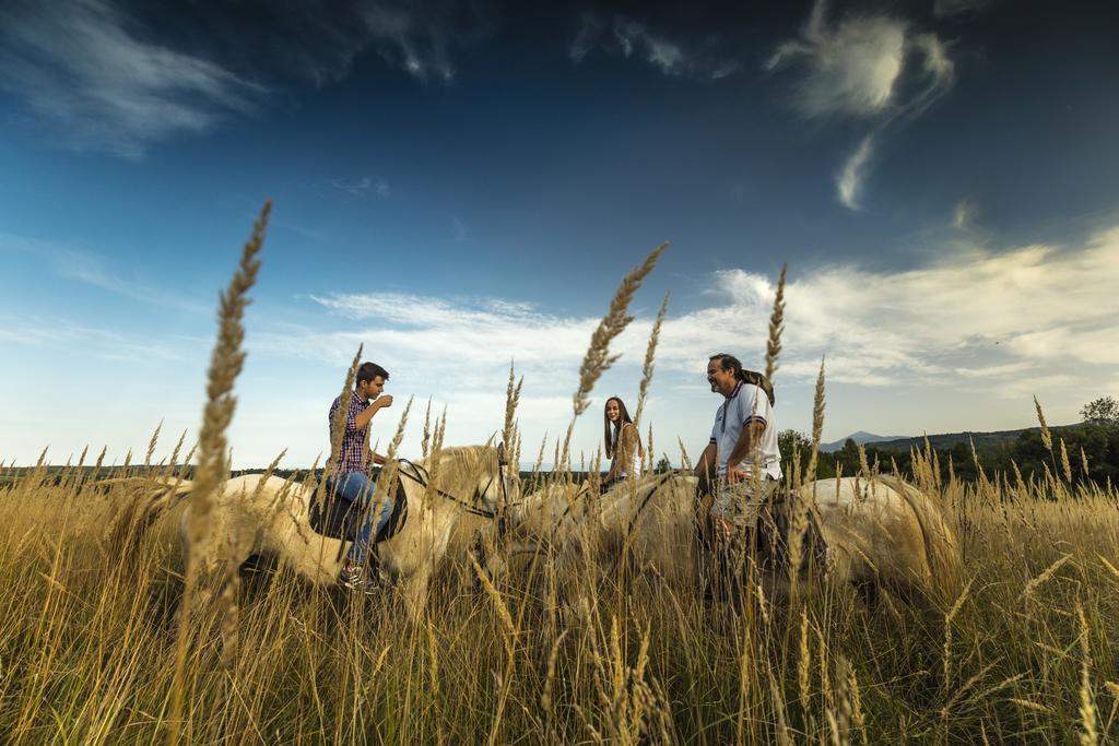 Ranch Terra Hotel Irinovac Bagian luar foto