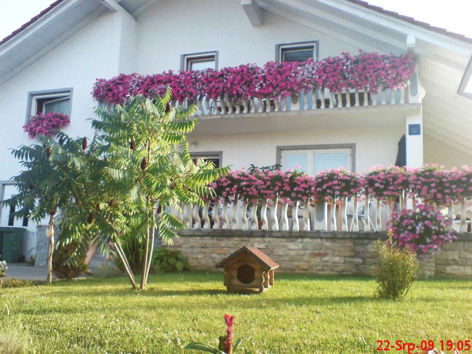 Ranch Terra Hotel Irinovac Bagian luar foto