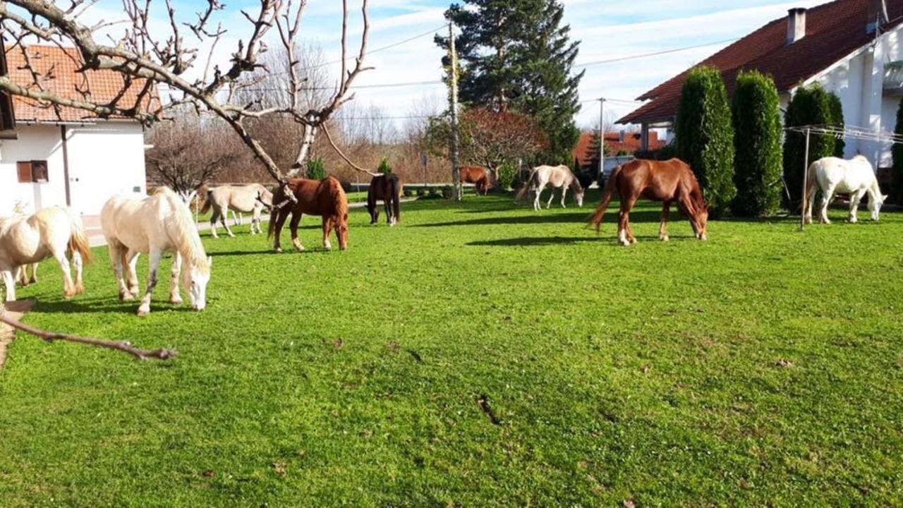 Ranch Terra Hotel Irinovac Bagian luar foto