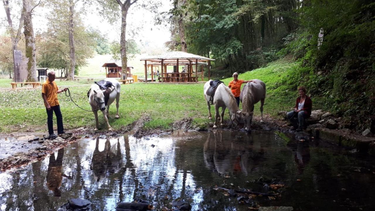 Ranch Terra Hotel Irinovac Bagian luar foto