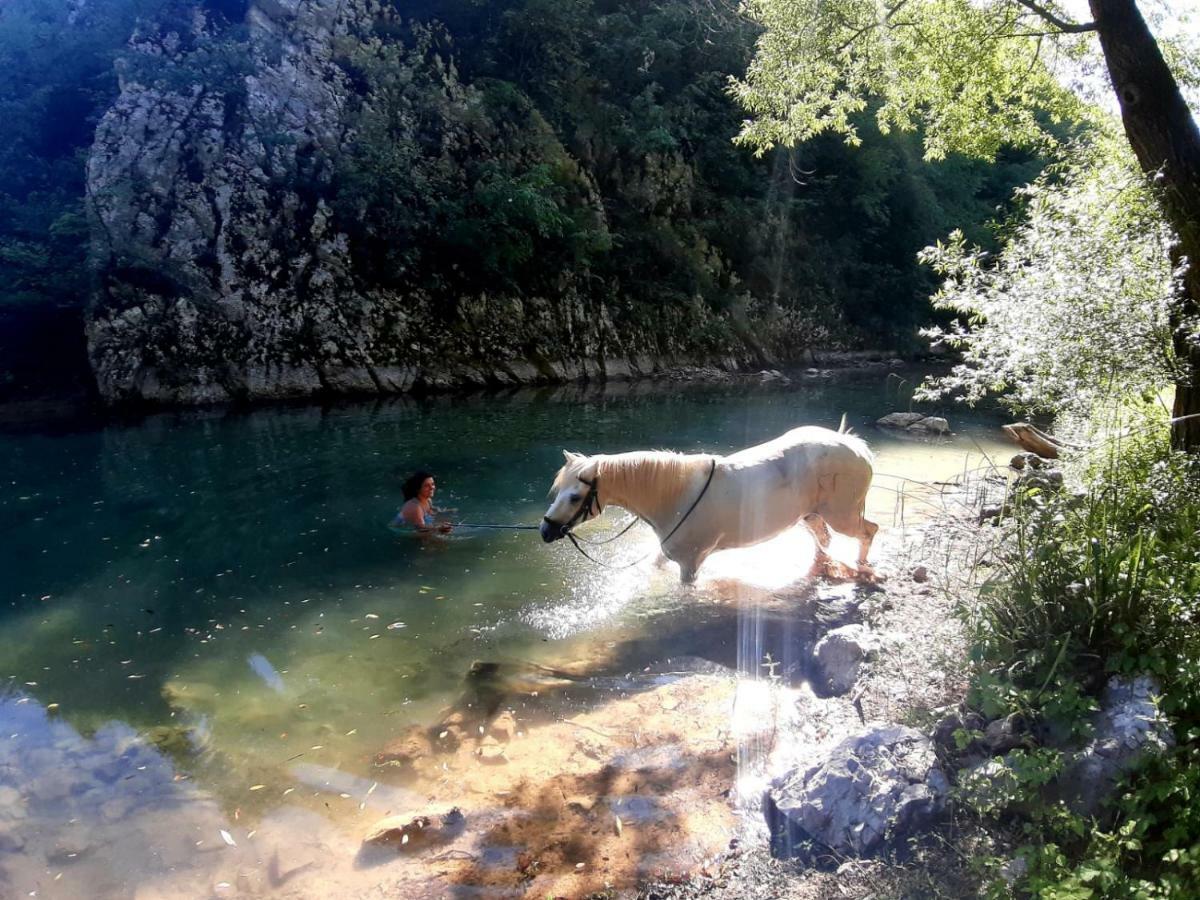 Ranch Terra Hotel Irinovac Bagian luar foto
